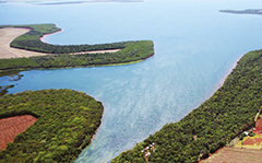 Desde 1979, Itaipu promoveu o plantio de mais de 44 milhes de mudas nas margens brasileira e paraguaia de seu reservatrio. Foto: Divulgao