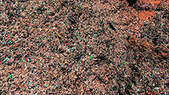 O Lixo visto de cima: presena de animais, como o urubu,  reflexo da degradao humana vivenciada por catadores.