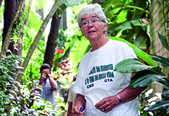 Dorothy Stang: executada a tiros no Par, em 2005, ela denunciava fazendeiros e madeireiros que destruam a Floresta Amaznica. Foto: Divulgao 